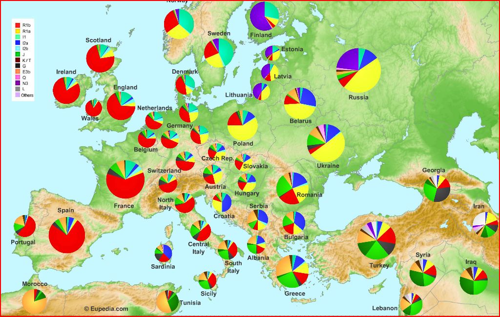 European genetics